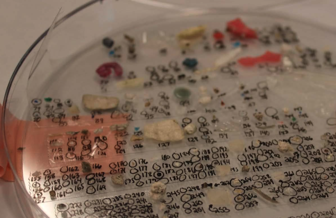 Plastic’s Replacement Is Alive—and It’s Spinning